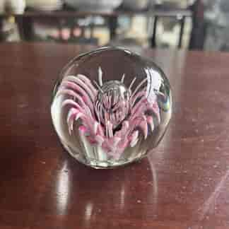 Glass paper weight with pink ‘Scotch Thistle’ flower inclusion, 20th c.
