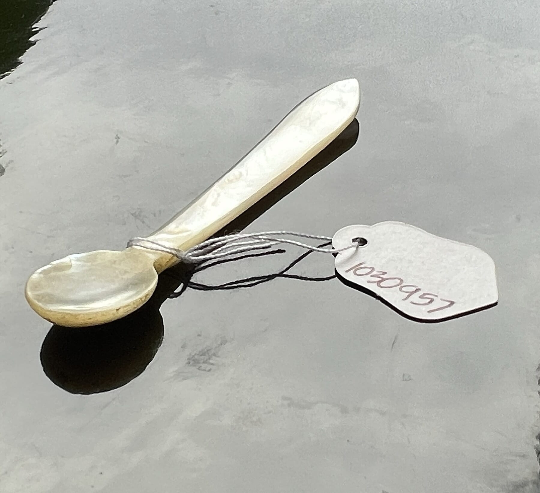 Pearlshell Caviar spoon, c. 1900