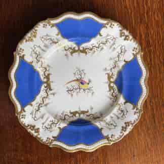 Graingers Worcester plate, exotic bird in blue & gilt border, C.1840
