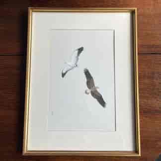 Frank T Morris painting of two White Breasted Sea Eagles, c.1976