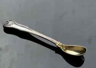 Macintosh Clan, Bateman Sterling Silver mustard spoon,  Shell & Husk, London 1839