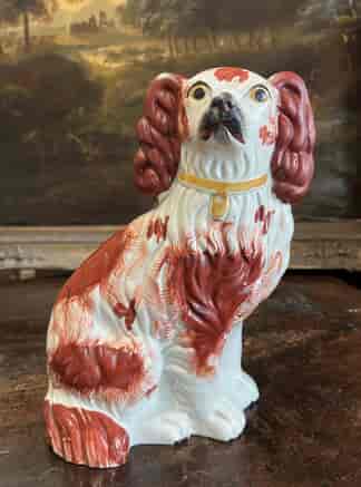 Staffordshire spaniel, red patched coat, c. 1865