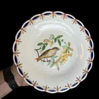 Minton plate with well painted bird on branch, 1856