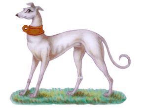 Greyhound, on a Minton Plate for Windsor Castle, 1871
