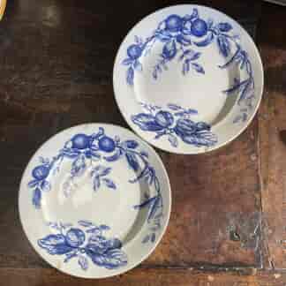 Pair of F.W Grove 'Walnut' pattern earthenware dinner plates, circa 1885