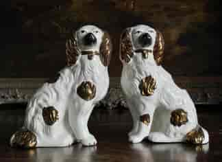 Staffordshire Dogs at Moorabool Antiques, Geelong