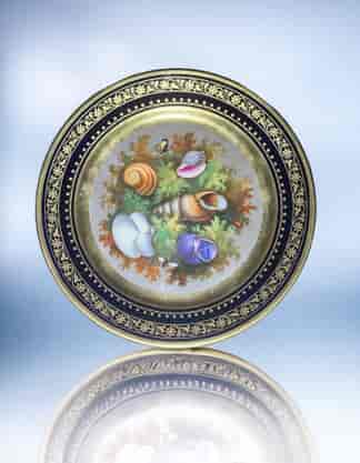 Darte Freres Paris Porcelain Plate, Seashells & Seaweed, c. 1820