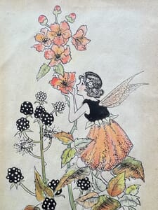 Ida Rentoul Outhwaite's 'Blackberry Fairy', original Watercolour for 'A bunch of wildflowers' 1933