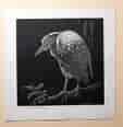 Lionel Lindsay woodblock print, ‘Night Heron’ , 1935