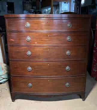 Georgian Mahogany large bowfront chest-of-drawers, c. 1820
