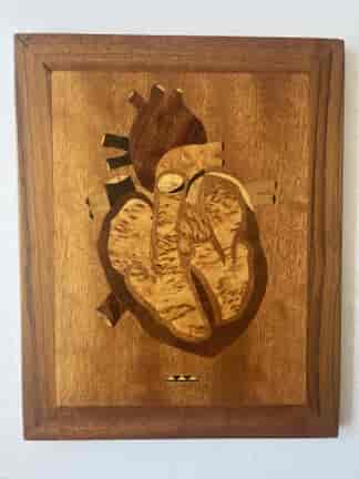 Unusual Medical wooden ‘Human Heart’ inlay, 20th century