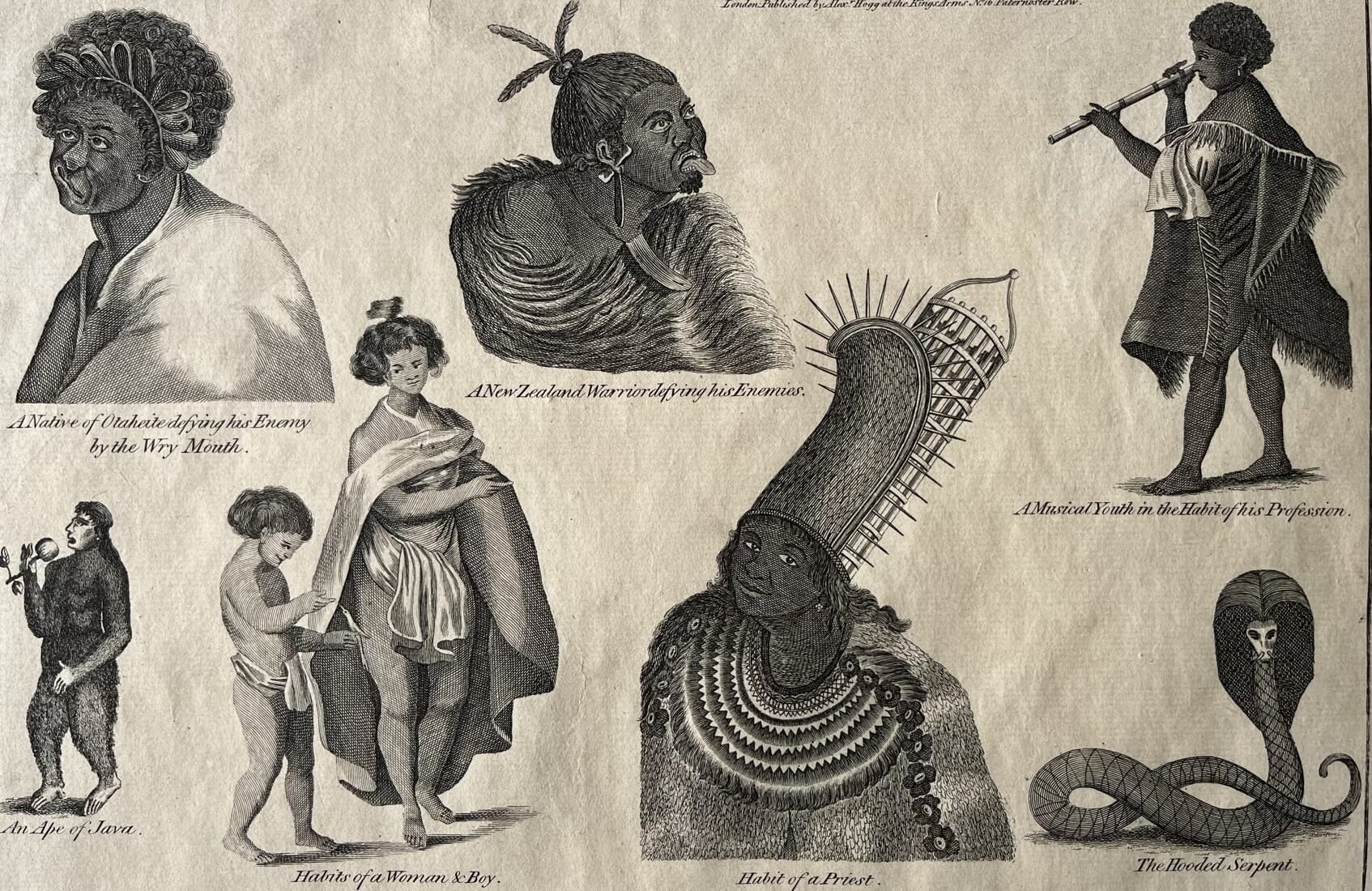 Cook's Voyages original mounted print- ' A New Zealand warrior defying his Enemies' C.1785