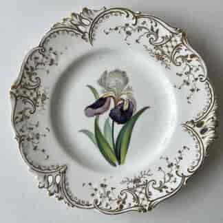 English bone china plate with Iris, patt no. 6542, C. 1840
