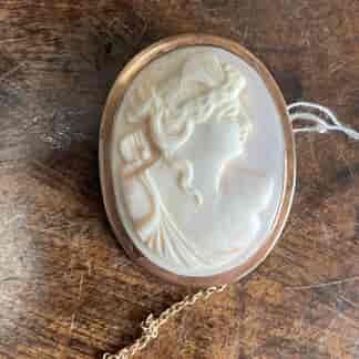 Long & Co 9ct. Gold carved shell cameo brooch, Melbourne made c. 1895