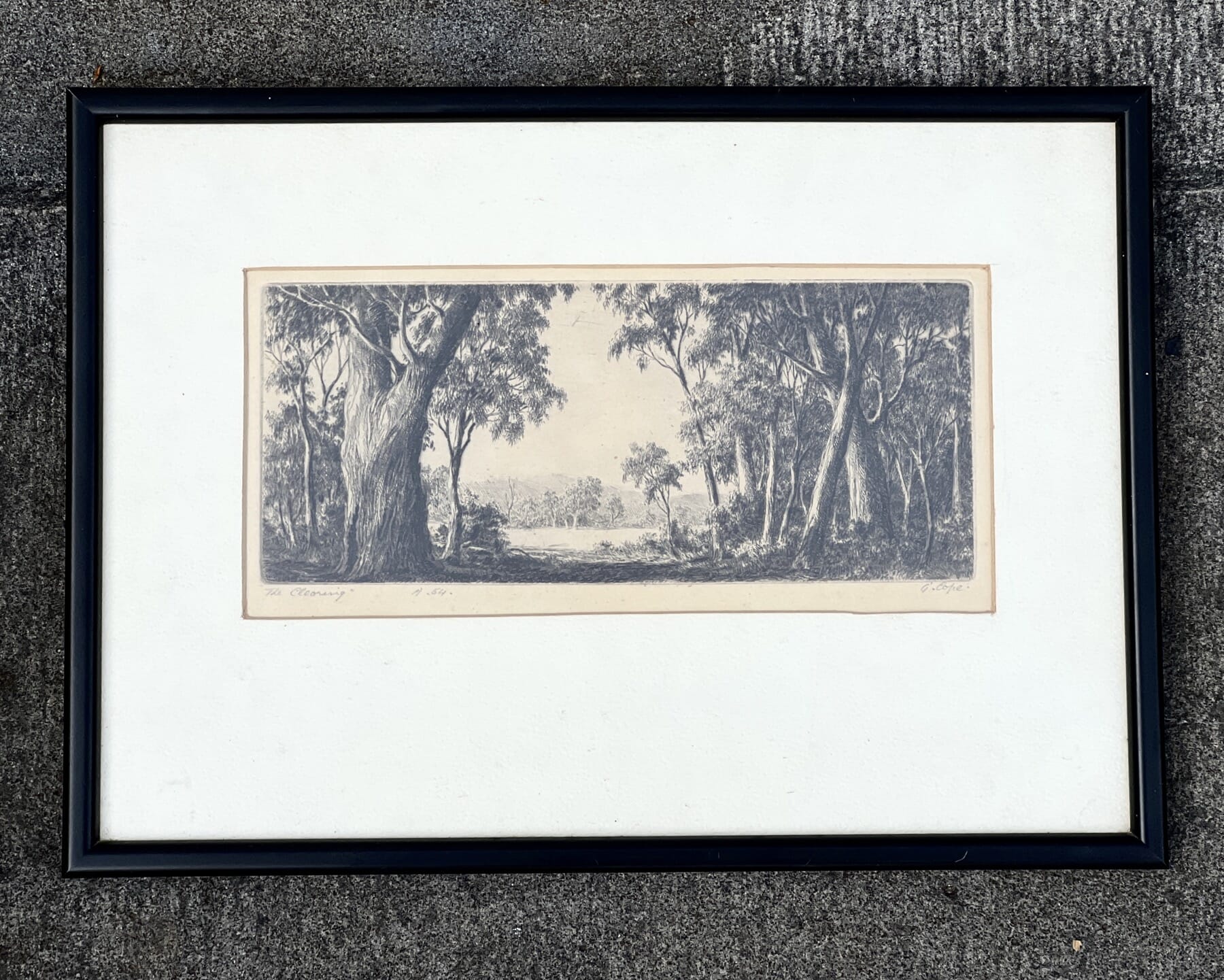 Ernest E. Abbott- signed G. Cope