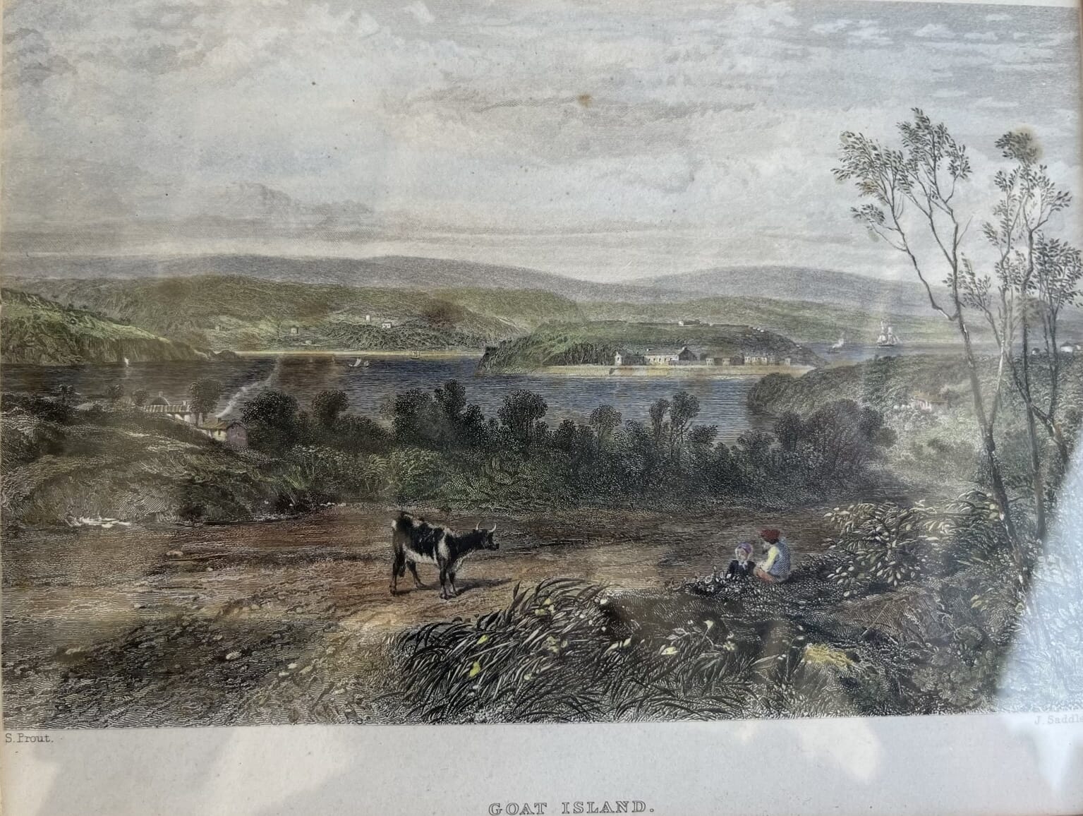 Framed hand coloured engraving 'Goat Island' C. 1874