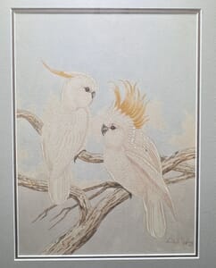 Neville W. Cayley - Sulphur Crested Cockatoos, circa 1920 