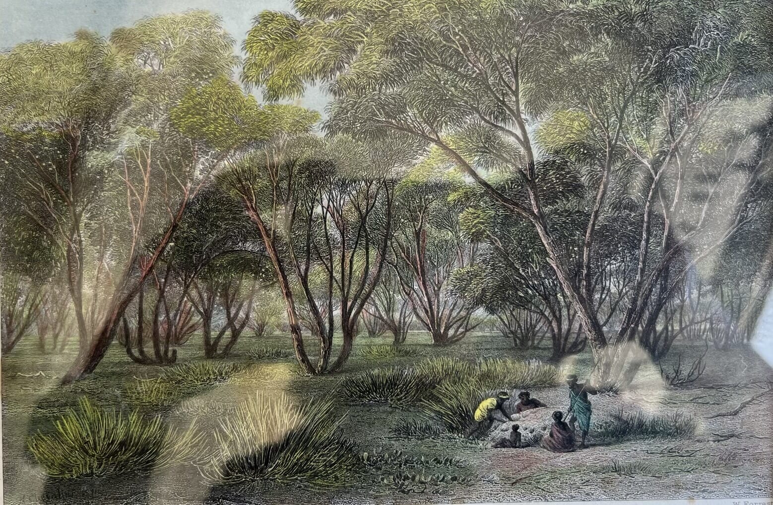 Framed hand coloured engraving 'Mallee Scrub, River Murray' aboriginal group, 1874