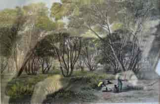 Framed hand coloured engraving 'Mallee Scrub, River Murray' aboriginal group, 1874