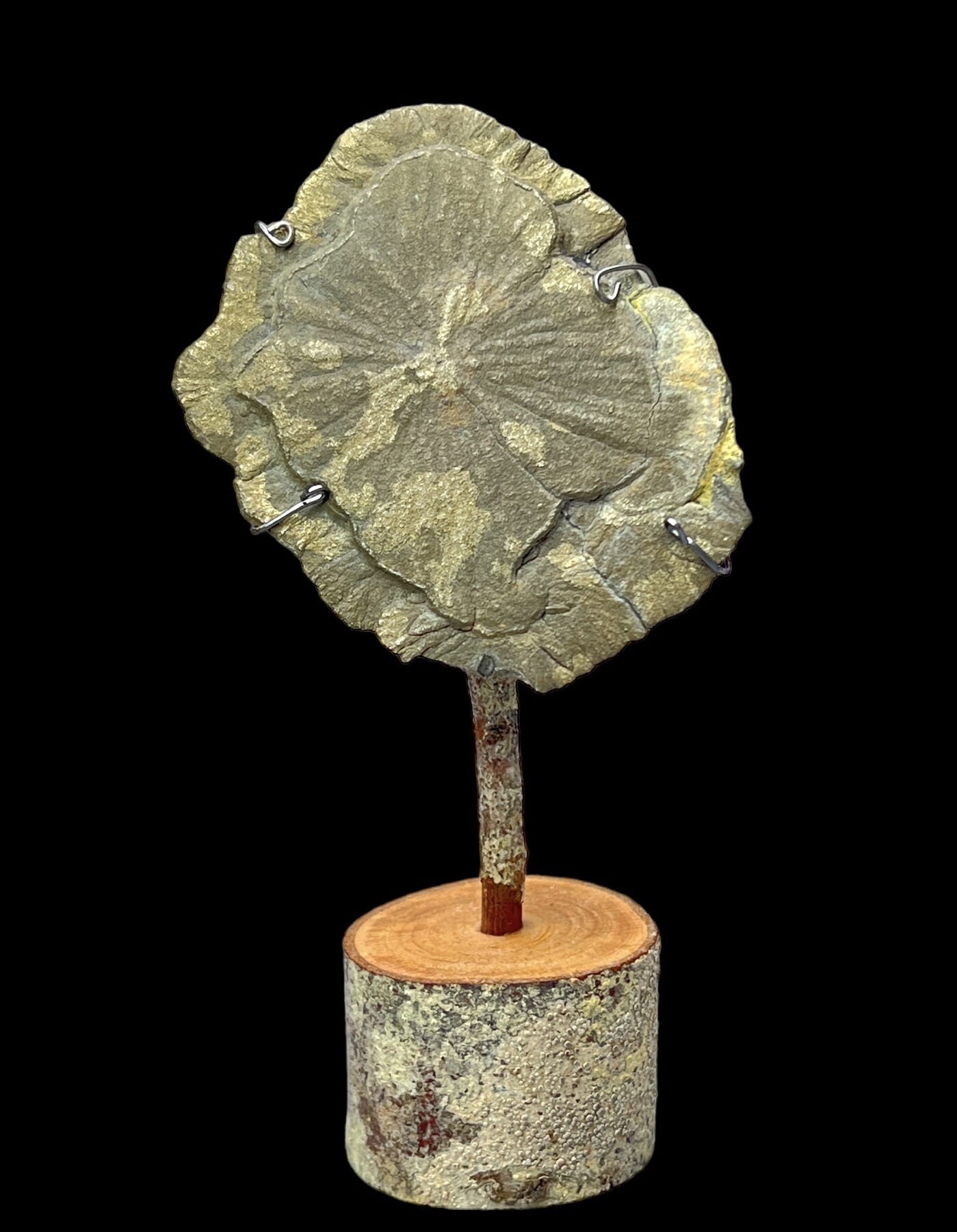 Pyrite Sun