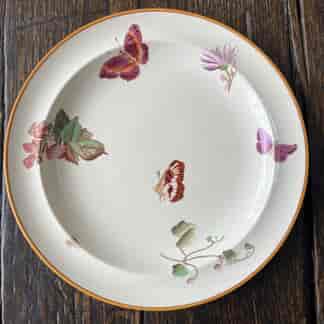 Wedgwood plate printed with butterfly & insects, Mortlocks, 1882