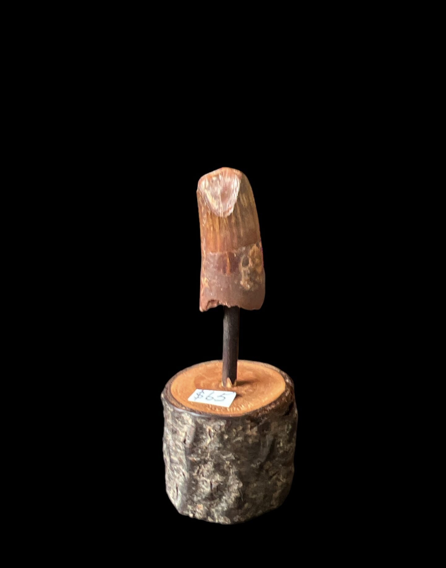 Fossil Dino Tooth on stand - Spinosaurus,  Morocco, 99 million yrs