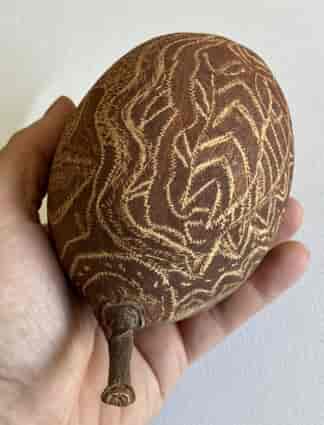 Western Australia engraved boab-tree nut, snake & fish, latter 20th century